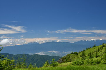 美ヶ原高原　青い空と白い雲