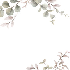 Watercolor vector card of eucalyptus branches and leaves.