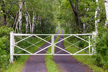 Closed white gate to long winding dirt road lined with birch trees seen during a misty summer morning, Murray Bay, Quebec, Canada