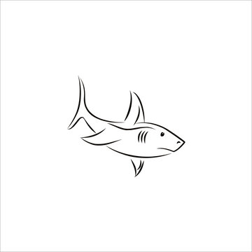 Shark logo design vector illustration animal.