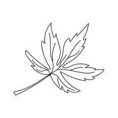 Autumn leaf in a linear style organic natural tree leaf. Isolated outline drawing modern minimalistic outline illustration isolated on white.