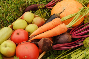 vegetables and fruits, carrots, beets, zucchini, eggplant,  apples, tomato, pumpkin,