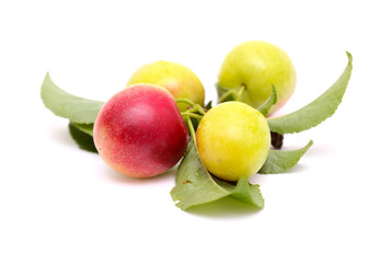 Horticulture of Gran Canaria -  small red wild plums Prunus domestica isolated on white background