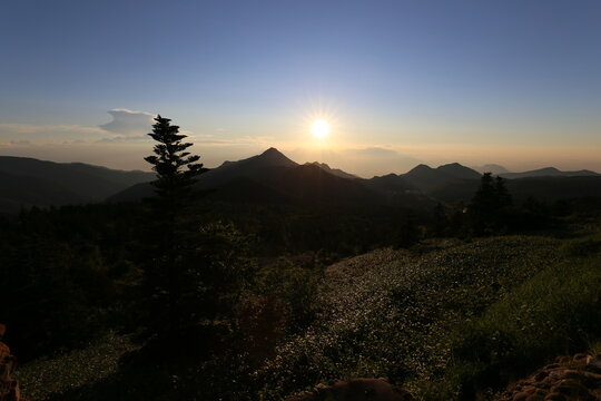 high land siga in summer