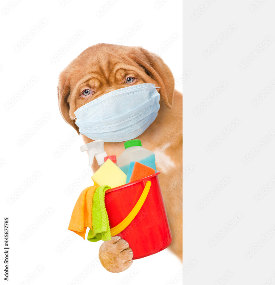 Poster puppy wearing medical protective face mask and red hat looks above empty white banner and holds buck