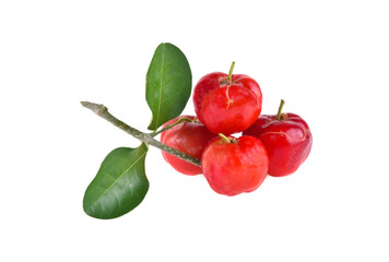 Barbados cherry,Ripe thai cherry on white background