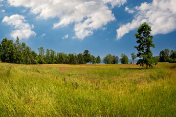 Summer scene in the Adirondacks