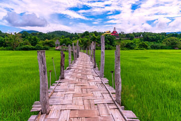 Bamboo bridge is name Su Tong Pe bridge across field in Mae Hong Son province, Thailand.
