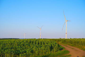 windmill with sunflowers and clouds