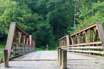 Fototapeta premium The pathway over the steel footbridge in the park.