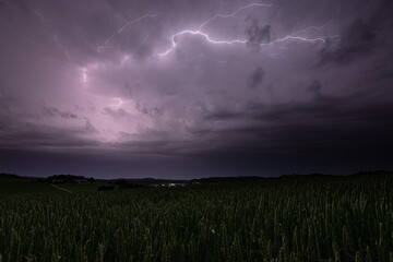 Wolken-Wolken blitz eines Sommerunwetters im S&uuml;den von Bayern. Das Motive zeigt ein Getreidefeld und &uuml;berwiegend den Himmel.
