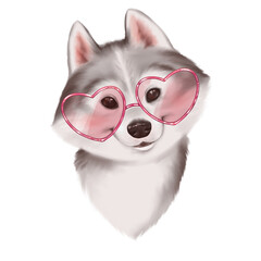 Malamute puppy head portrait. Cute dog in sunglasses.