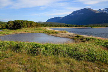 Fototapeta na wymiar The lake among the green meadows against the backdrop of mountains and forests under the blue summer sky is not the shore of the fjord. Norway.