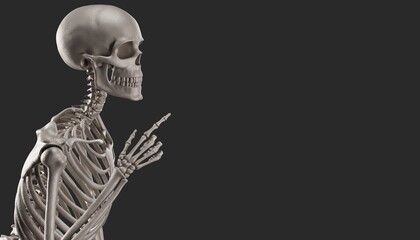 skeleton posing 3d render  - obrazy, fototapety, plakaty