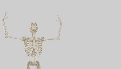 skeleton posing 3d render 