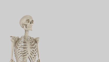 skeleton posing 3d render 