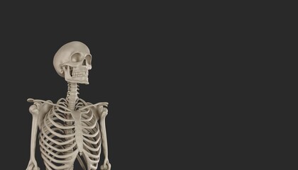 skeleton posing 3d render 