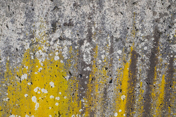 Italy, Province of Milan, colored pebbles on the colored wall.