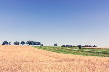 Fototapeta premium landscape