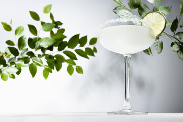 Shine fresh summer refreshing beverage margarita with salt rim and green lime with green leaves in...