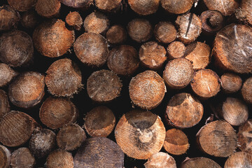 stack of firewood