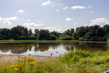 Fototapeta na wymiar Nature Reserve Höltigbaum - View across a pond to the edge of the forest