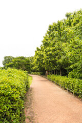 美しい公園の脇道