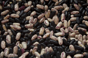 black and patterned kidney beans. (Delicious mottled, raw common beans)