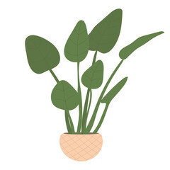 Home plant in a pot. Modern interior design for boho house or apartment. Hand drawn leaves in a wicker backet. Vector illustration isolated on white background