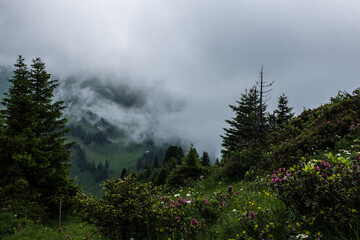 Landscape view of the Swiss Alpes from the Kaiseregg and Luchere Mountains, Shot in Jaun area,...