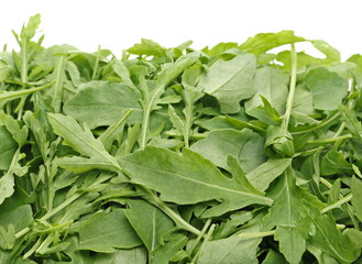 Fresh rocket or arugula (Eruca vesicaria) isolated on white background and texture