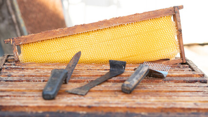 Apiary hive tools. Beekeeping fork, knife and scraper for uncapping honeycomb, honey cells, beehive frame. Selective focus.