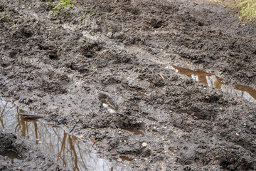Close up of tyre prints in muddy ground