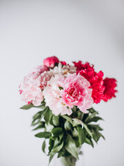 Peony flowers in vase on the white background
