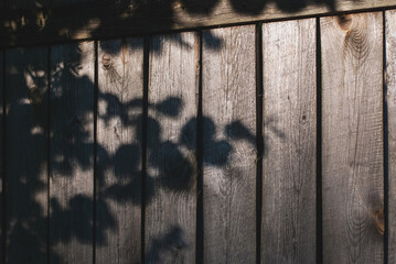 Tree branch shadow on an old wooden fence