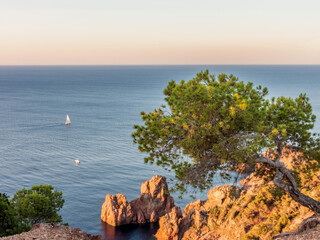 Premiers rayons du soleil éclairant les rochers de l'Esterel en bord de mer dans le Var sur la Côte d'Azur - obrazy, fototapety, plakaty
