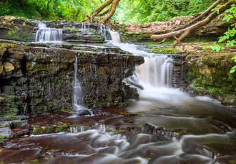 Naklejka na ściany i meble A Cascade waterfall, Lynn Falls, Caaf Water, Lynn Glen, Dalry, North Ayrshire, Scotland, UK