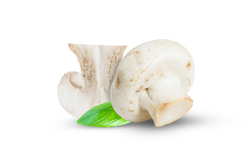 Champignons on isolated white background