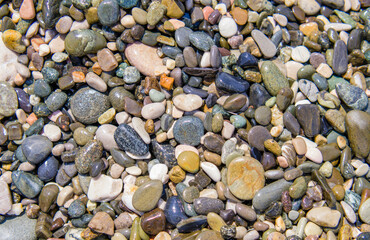 multi-colored pebbles on the beach. Wet stones, natural background, top view.
