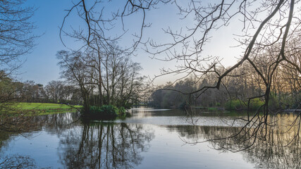 Trees on small island in lake