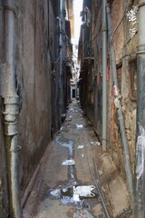 Jaipur alley. Jaipur, Rajasthan, India.
