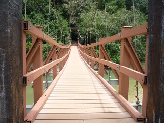 Wooden bridge in the forest