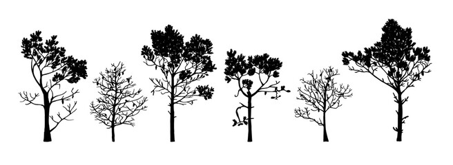 Set of tree silhouettes of different types and shapes isolated on white background. Illustration.