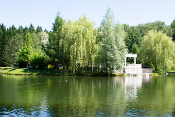 Fototapeta na wymiar Summer wild lake landscape with island view with trees