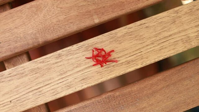 fisherman lays out red bloodworm artificial bait for fishing close-up