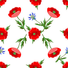 Poppies with cornflowers on field seamless pattern.