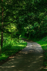 夏の牛伏寺フランス式階段工　遊歩道