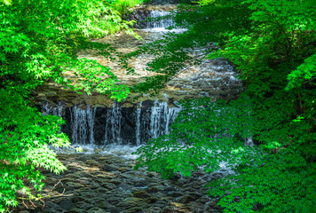夏の牛伏寺フランス式階段工