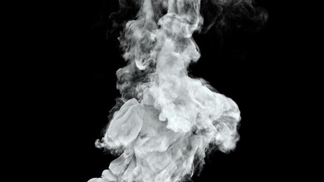 Steam smoke rising and dissipates completely on an alpha channel background.