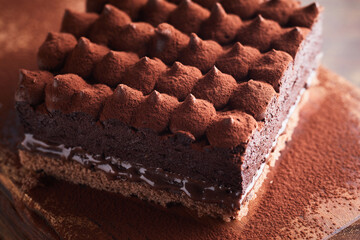 Piece of delicious Tiramisu cake